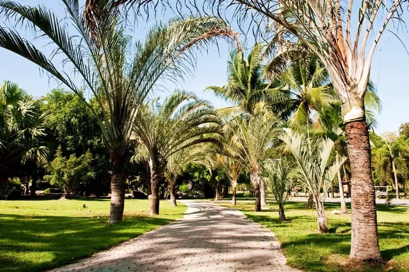Central Botanical Garden (Phu Kae)