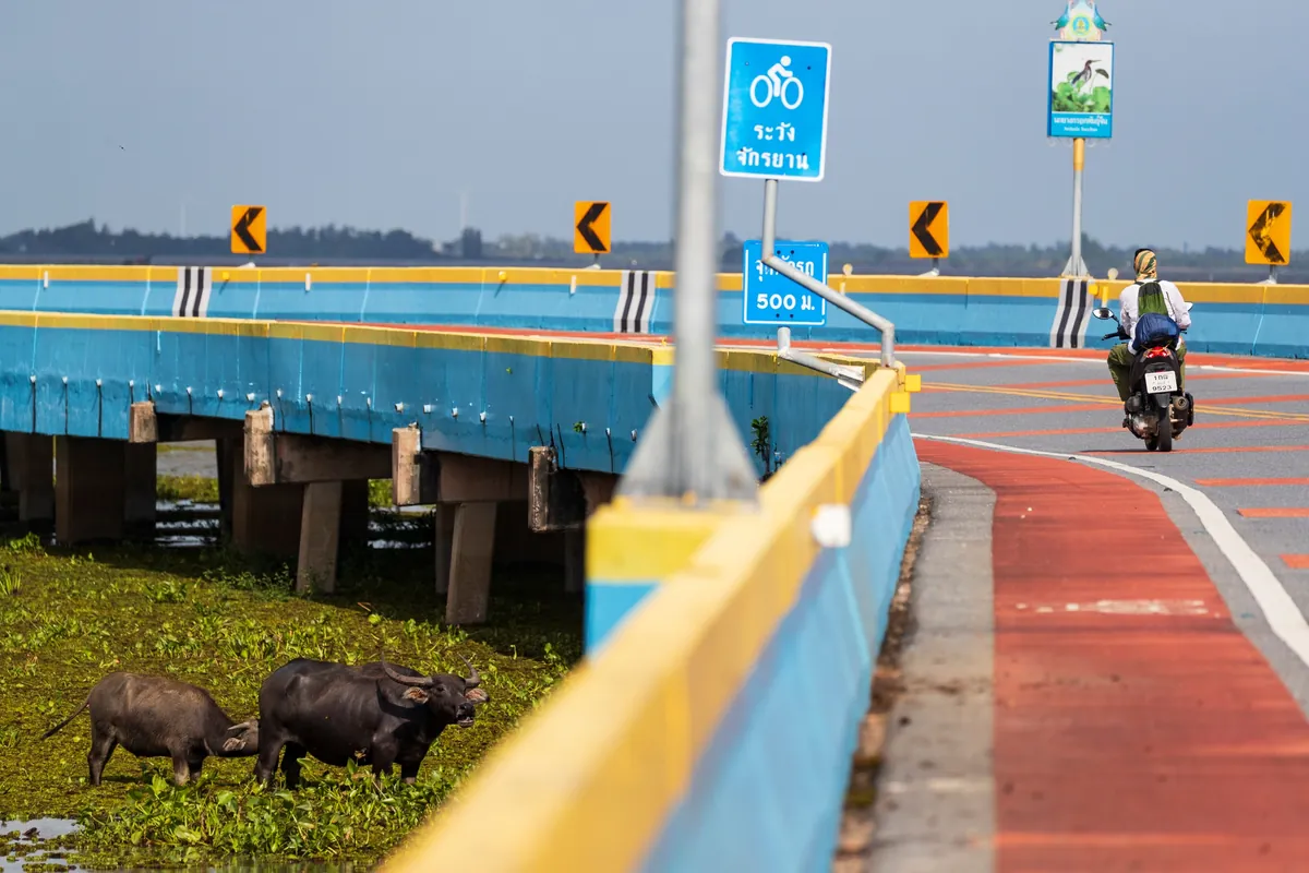 Chaloem Phrakiat 80 Phansa Bridge — photo 5