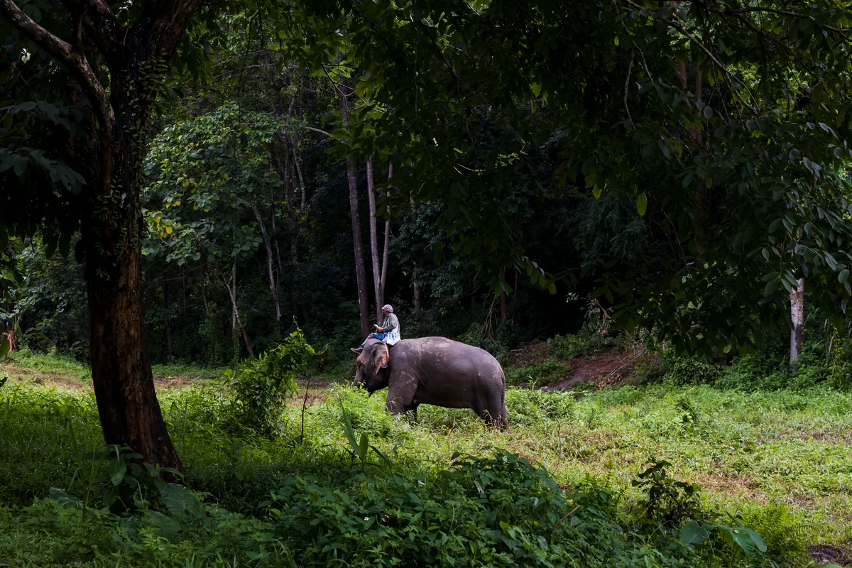 Chang Puak Camp — photo 2