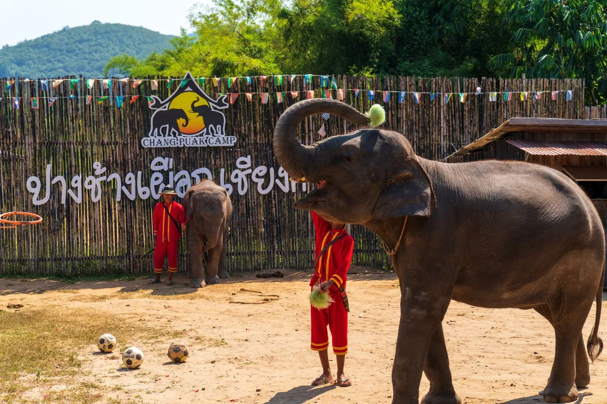 Chang Puak Camp Chiang Khan — photo 2