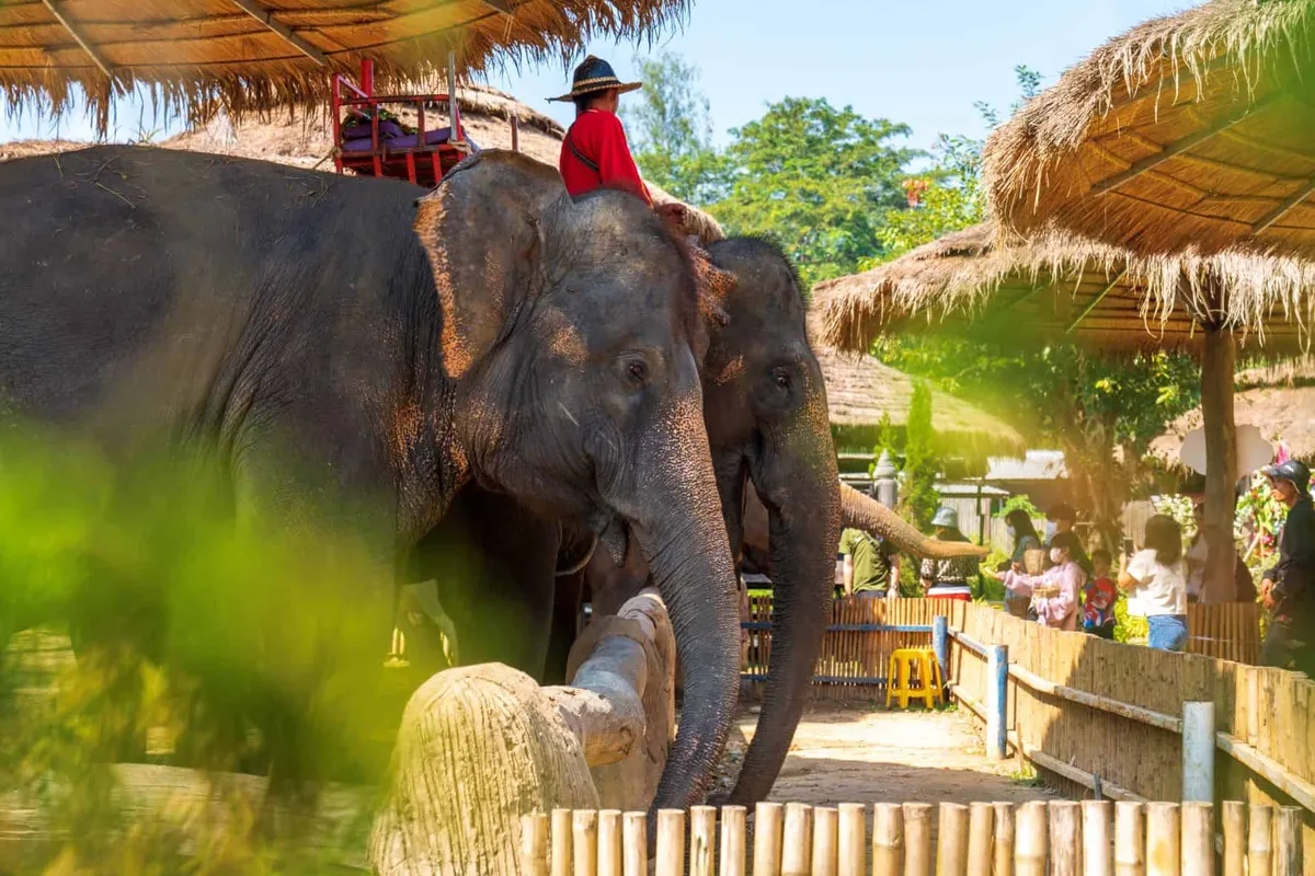 Chang Puak Camp Chiang Khan