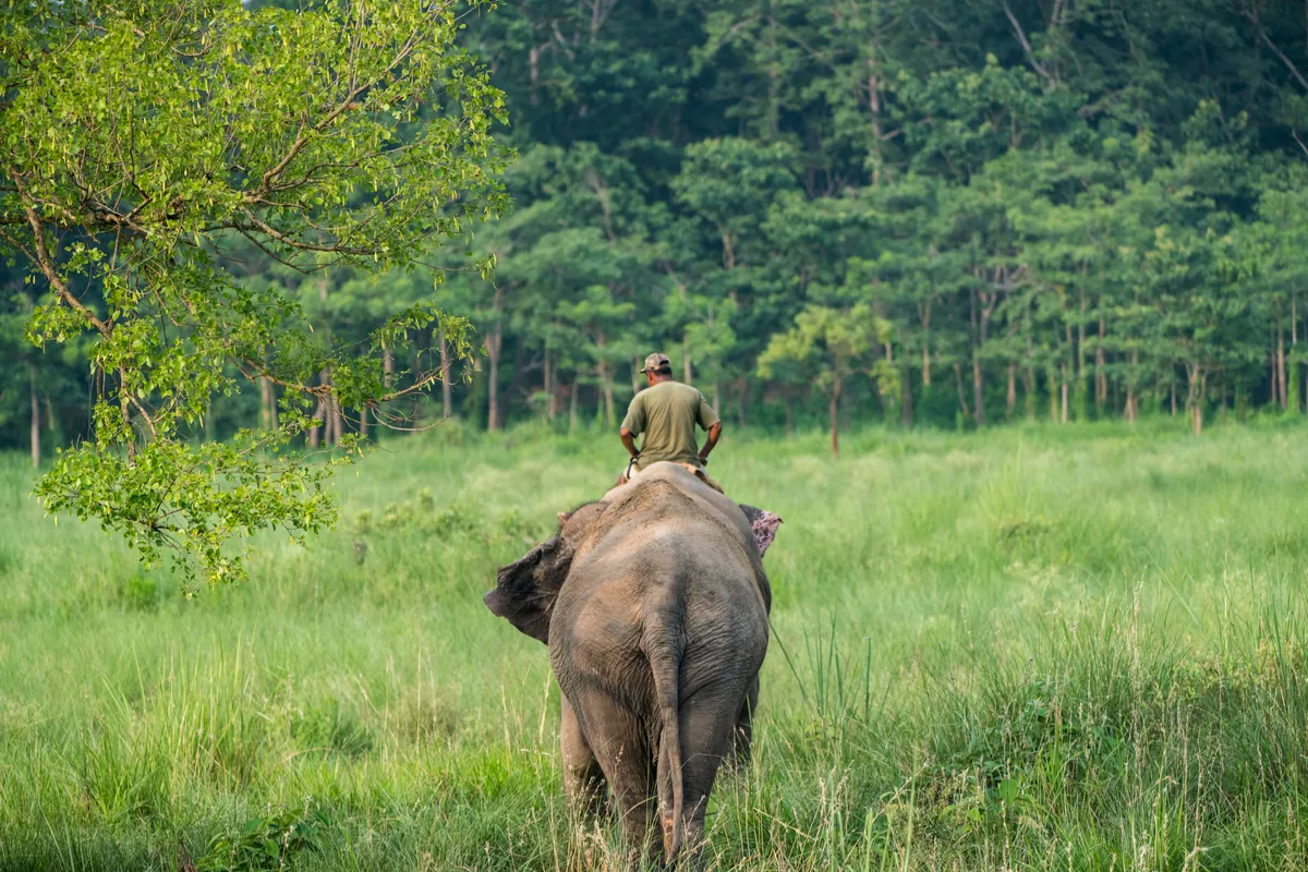 Chang Puak Camp Chiang Rai