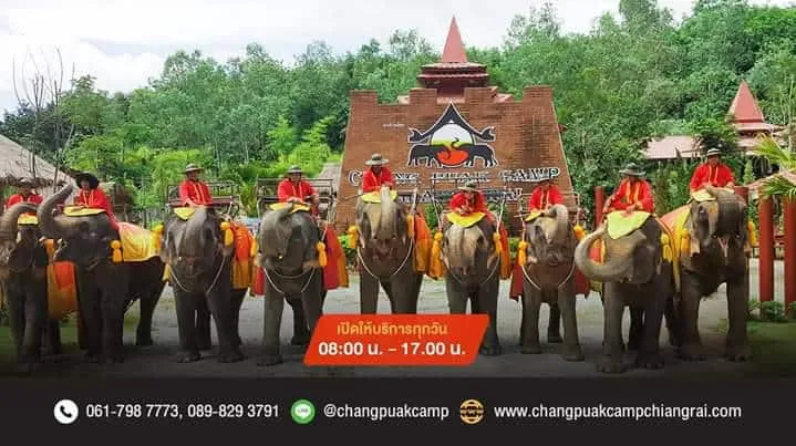 CHANG PUAK CAMP CHIANG RAI