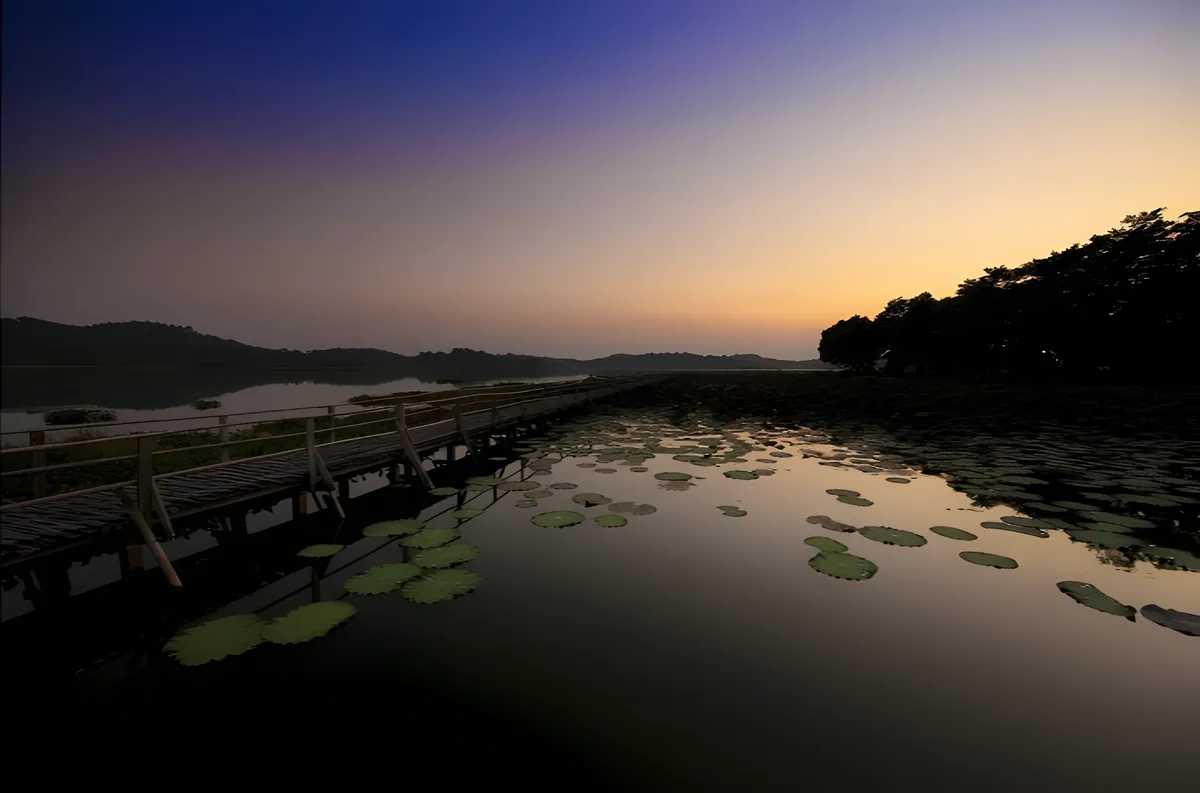 Chiang Saen Lake