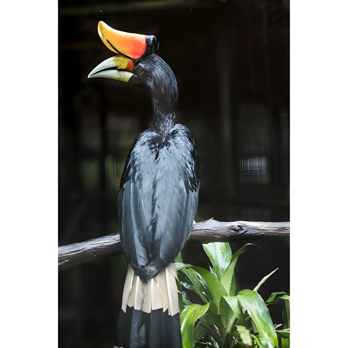 Chong Klam Bon Wildlife Breeding Station