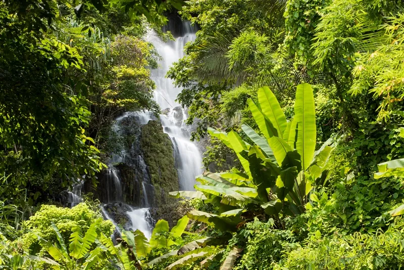 Chum Saeng Waterfall — photo 2