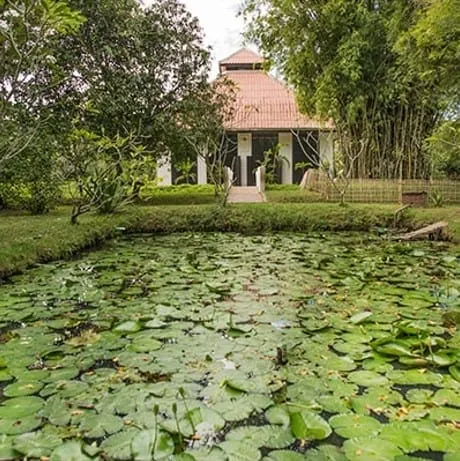 Dhamma Park and Arts Chamber