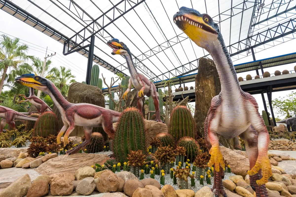 Dinosaur Valley — photo 2
