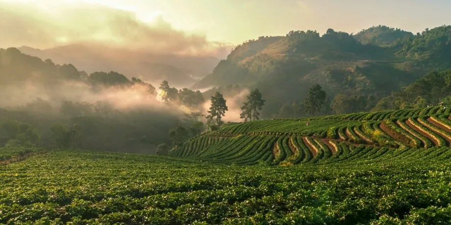 Doi Ang Khang — photo 2