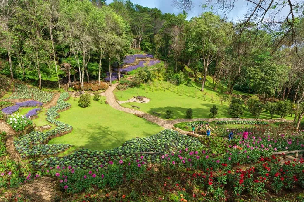 Doi Chang Mup Stupa and Mae Fa Luang Arboretum