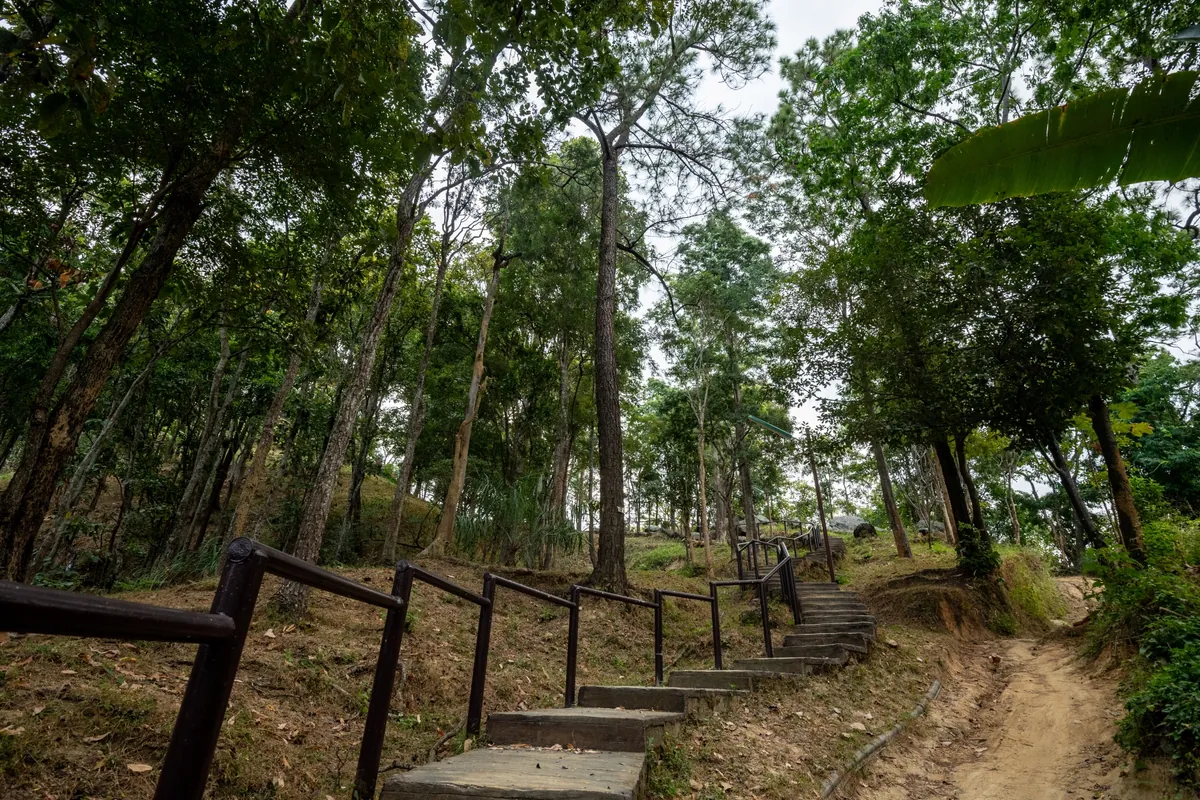 Doi Khun Tan National Park — photo 5