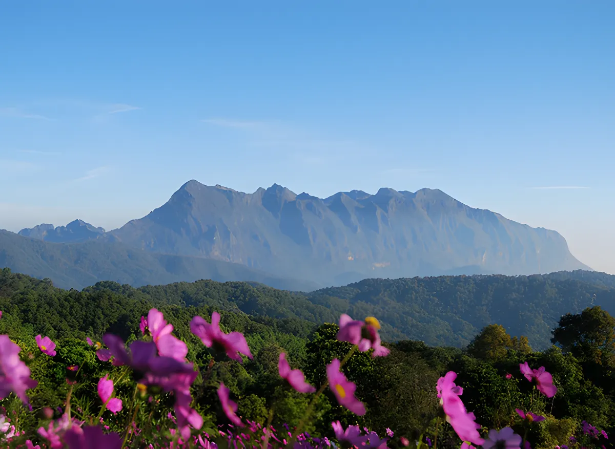 Doi Luang Chiang Dao