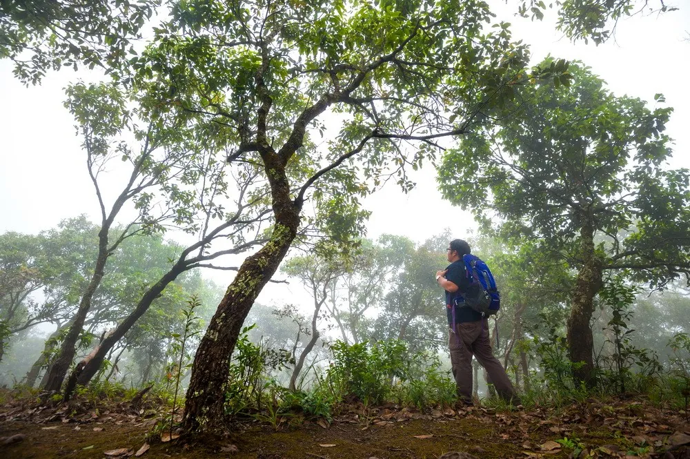 Doi Luang National Park — photo 2
