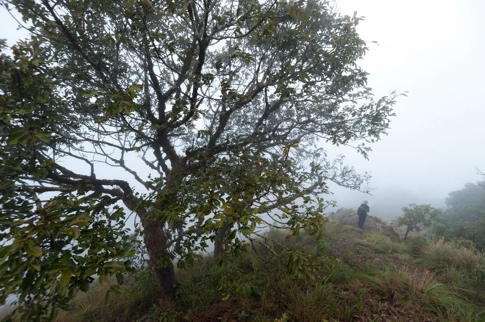 Doi Luang National Park — photo 3