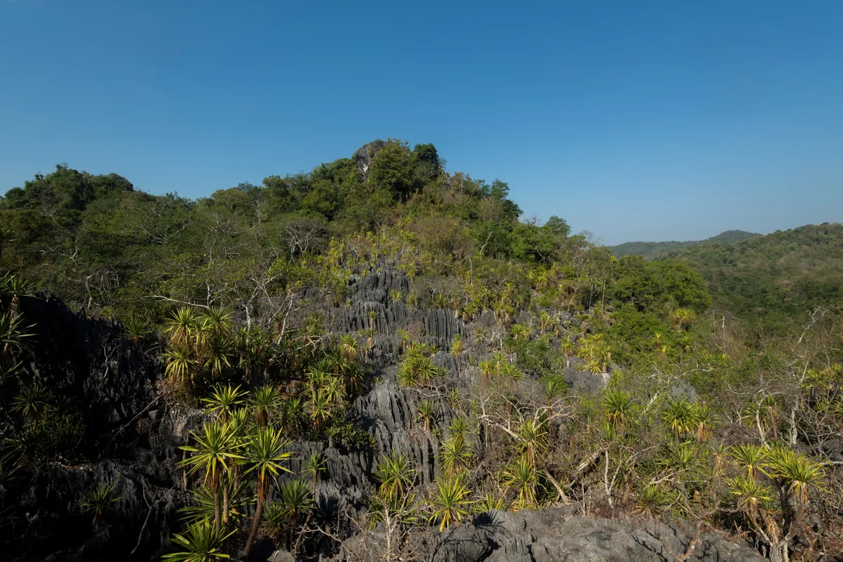 Doi Pha Klong National Park — photo 2