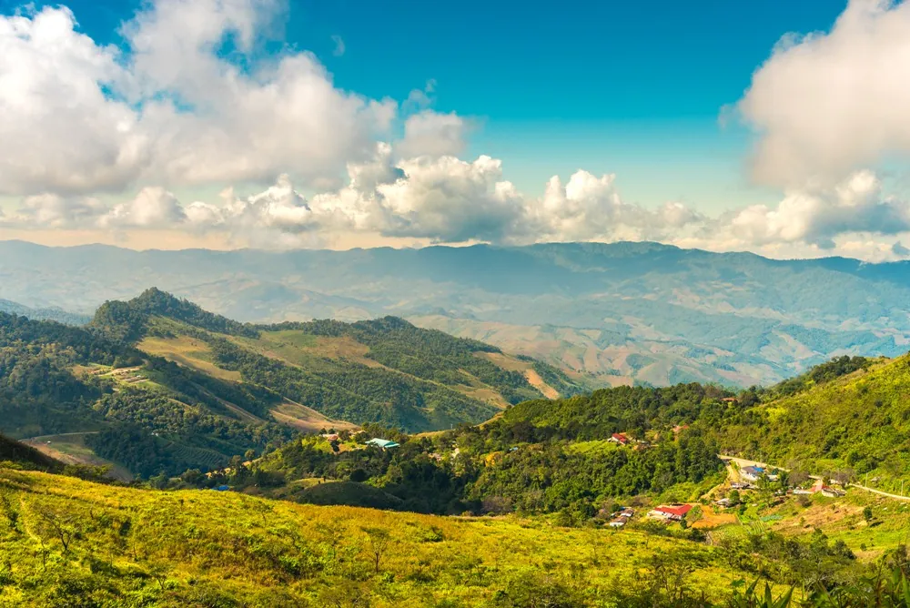 Doi Pha Tang — photo 4