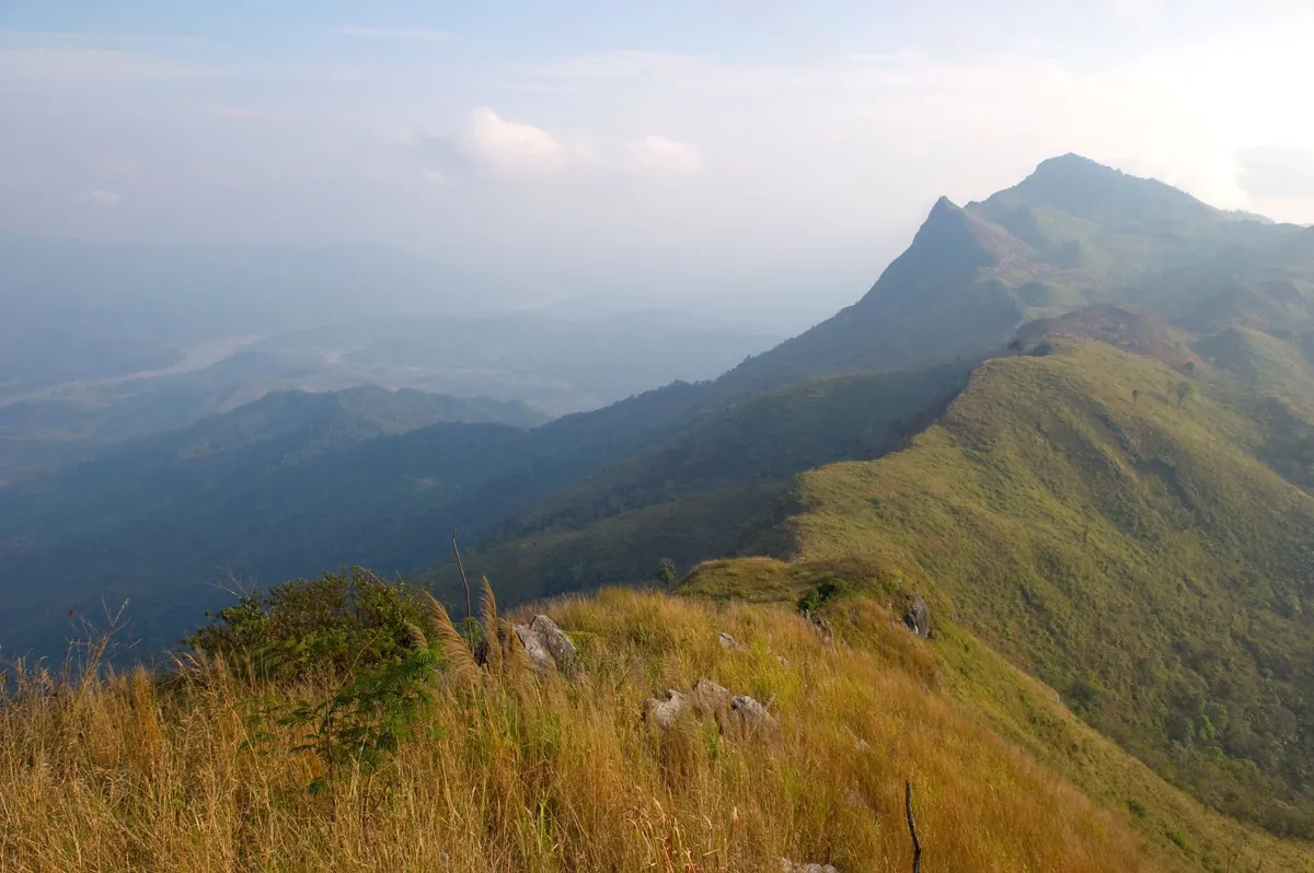 Doi Pha Tang — photo 2