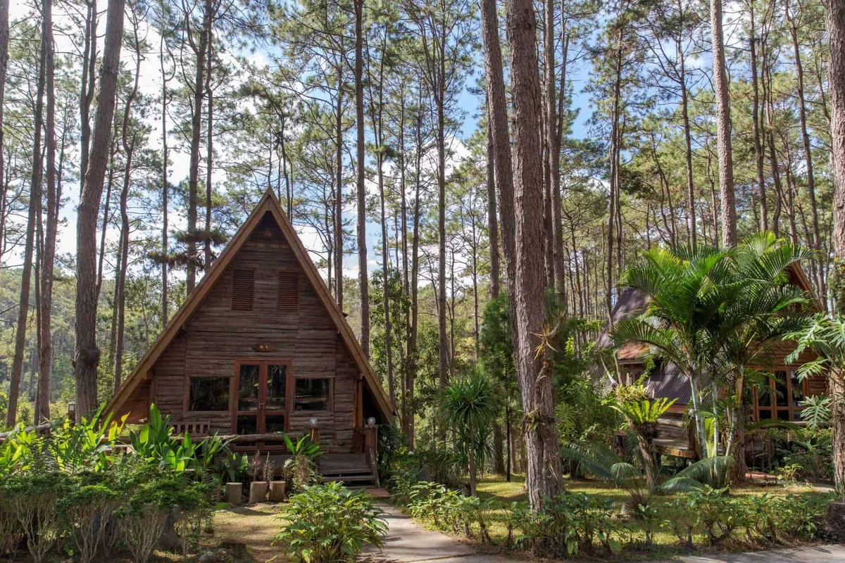 Doiboluang Plantation Forest Industry Organization