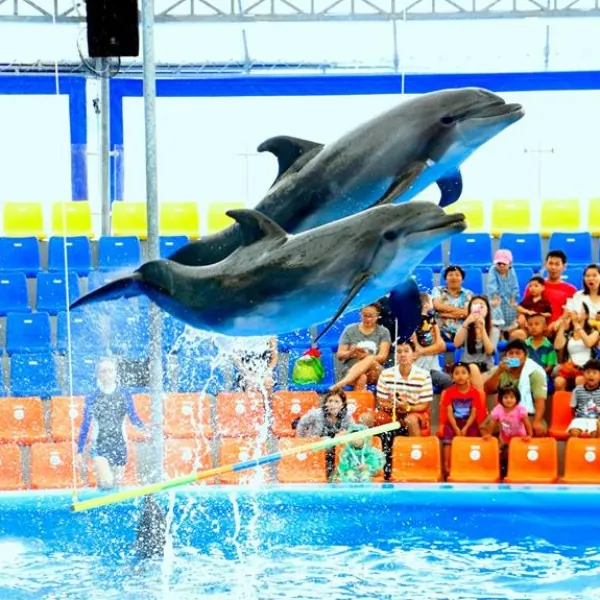 Dolphins Bay Phuket — photo 2