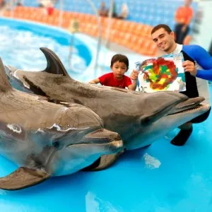 Dolphins Bay Phuket — photo 3