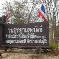 Dong Bang-i Forest Park