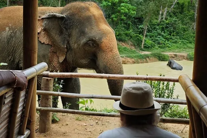 Elephant Nature Park