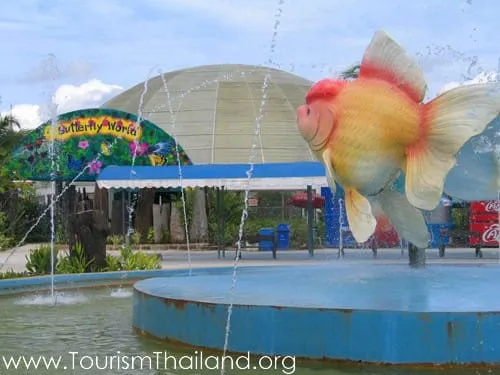 Fish Mochida National Park