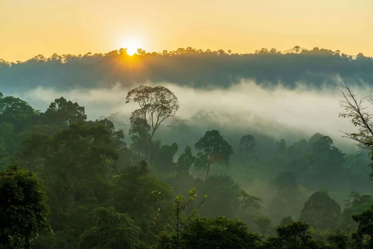 Hala Bala Wildlife Sanctuary