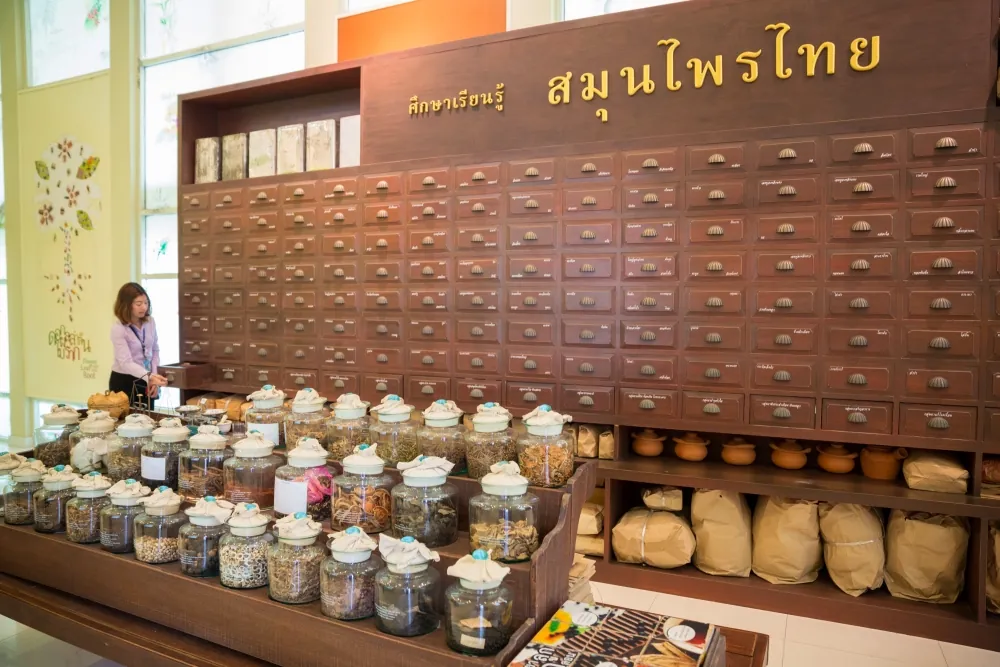 Her Royal Highness Princess Maha Chakri Sirindhorn Herb Garden — photo 2