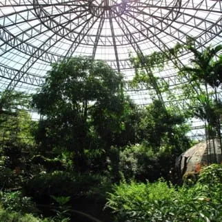 His Majesty The King’s Insect Park