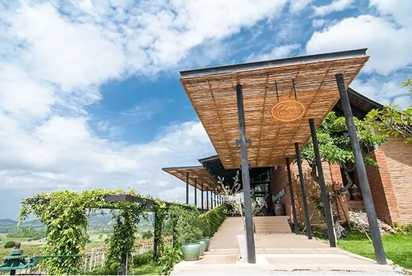 Hua Hin Hills Vineyard — photo 2