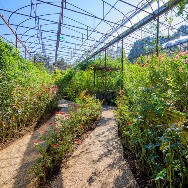 Huai Phak Phai Royal Project Development Center