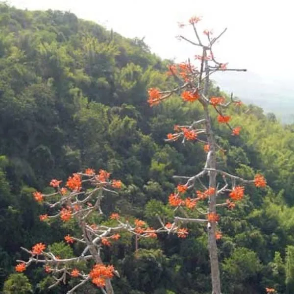 Huay Nam Sub Forest Park