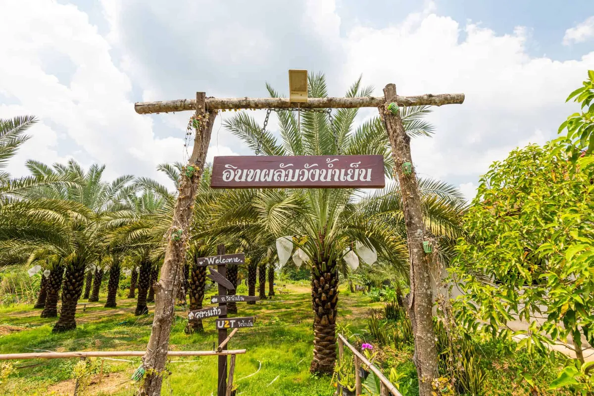 Inthapalam Wangnamyen