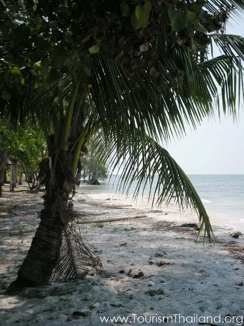 Irrawaddy Dolphin Point at Laem Klat