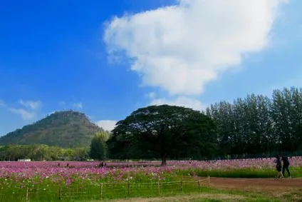 Jim Thompson Farm — photo 3