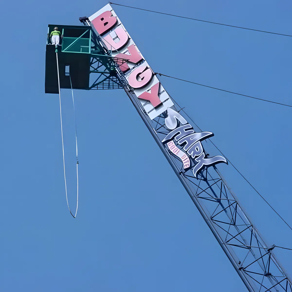 Jungle Bungy Jump