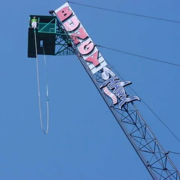 Jungle Bungy Jump — photo 2