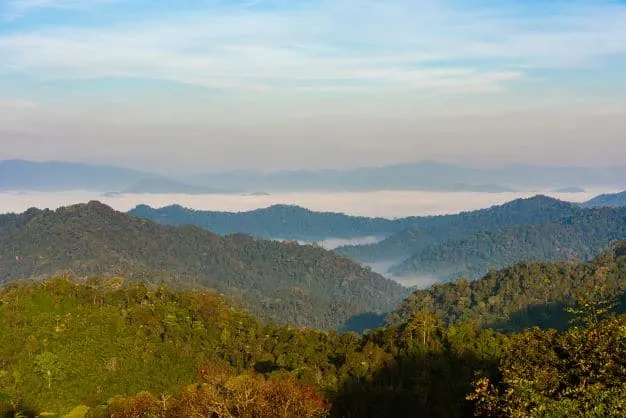 Kaeng Krachan National Park