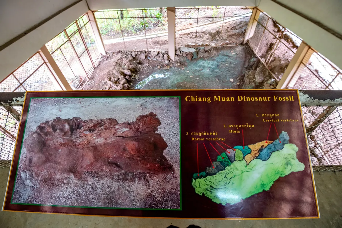 Kaeng Luang Dinosaur Forest Park — photo 5