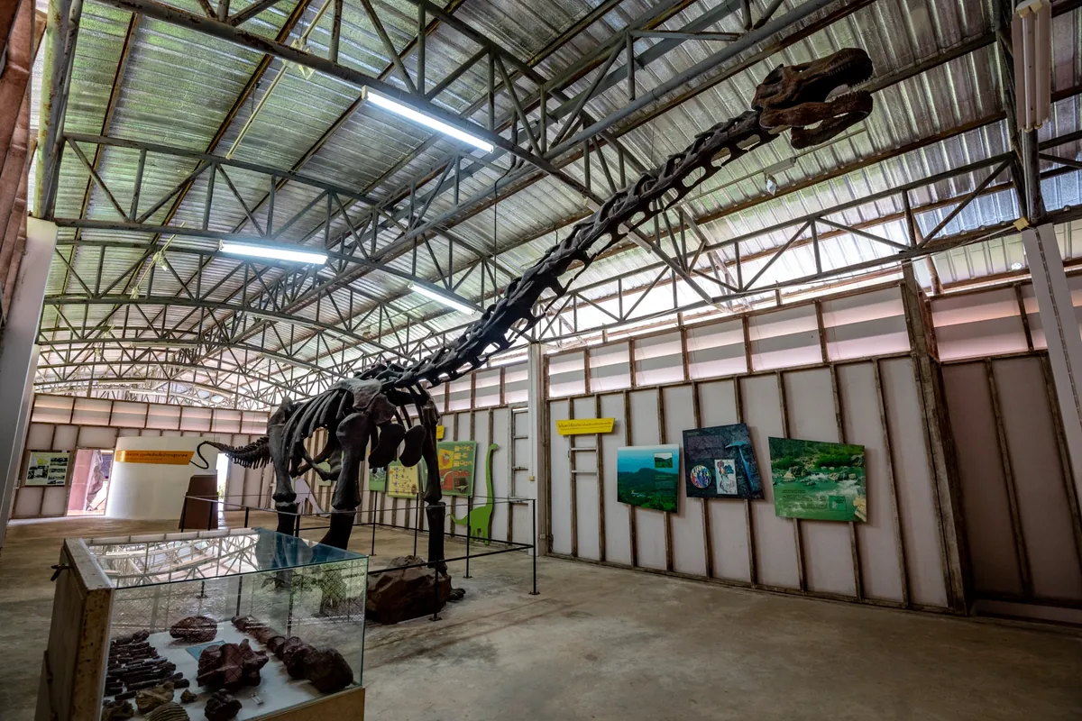 Kaeng Luang Dinosaur Forest Park — photo 3