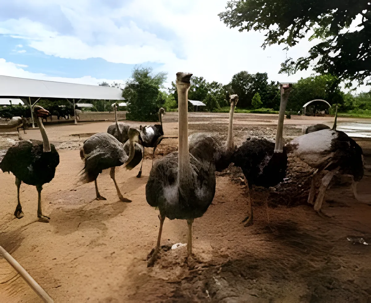 Khachon Farm