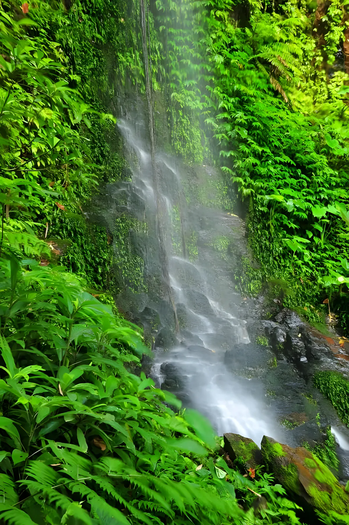 Khao Ang Rue Nai Wildlife Sanctuary