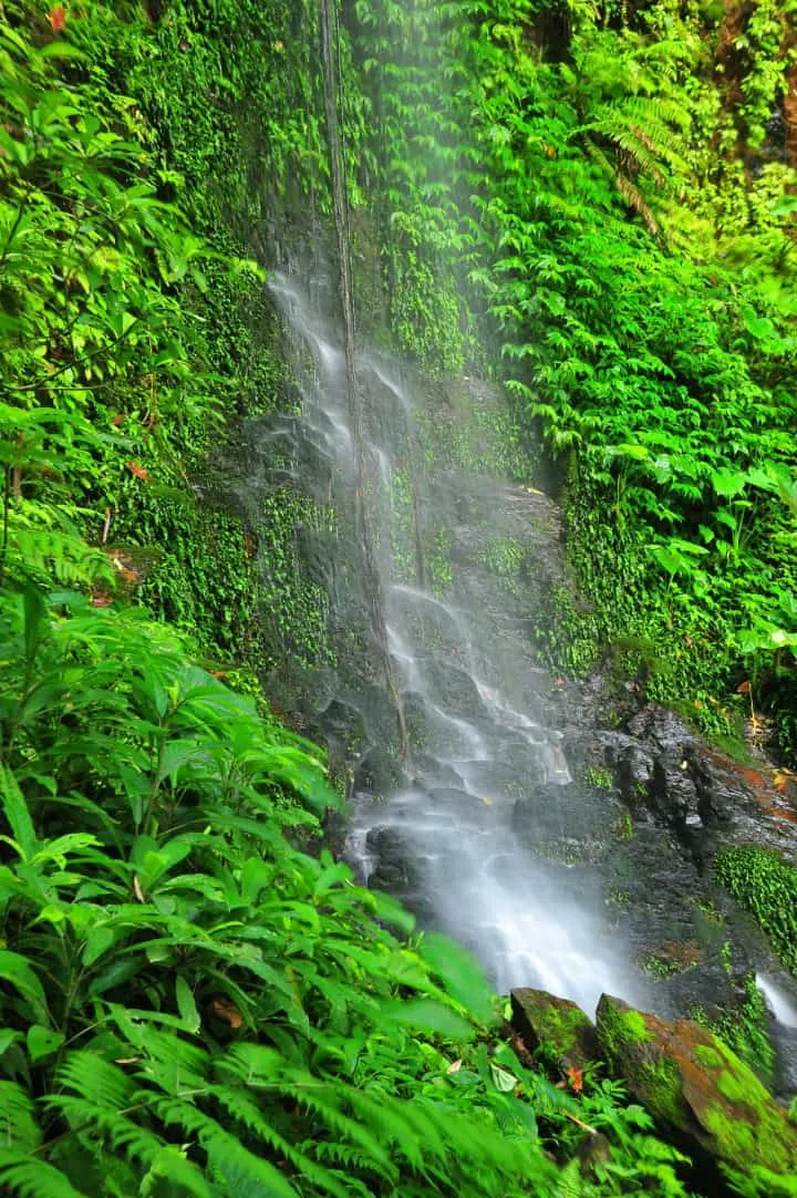 Khao Ang Rue Nai Wildlife Preserve Area