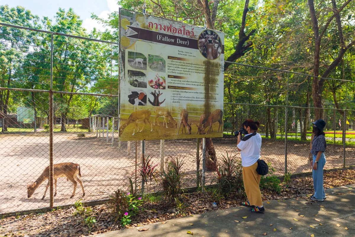 Khao Hin Son Royal Development Study Center — photo 2