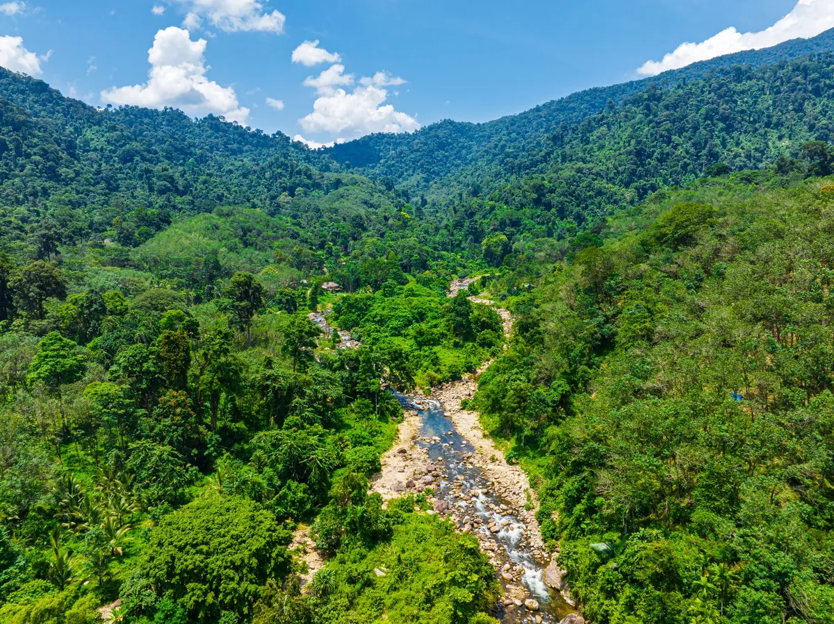 Khao Luang National Park — photo 4