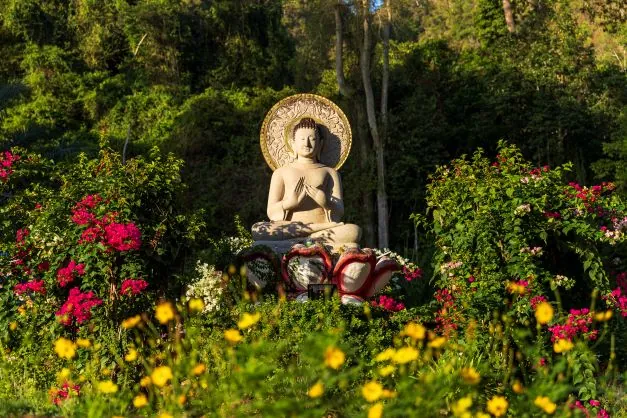 Khao Na Nai Luang Dharma Park — photo 4
