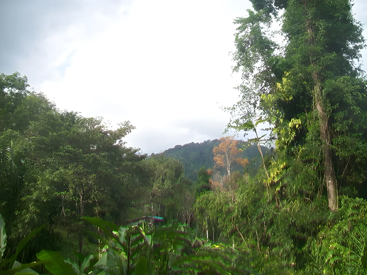 Khao Nomsao