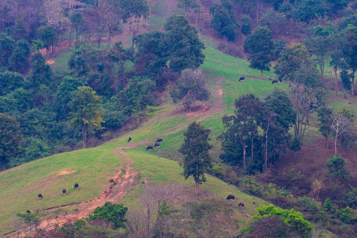 Khao Phaeng Ma Wildlife Sanctuary