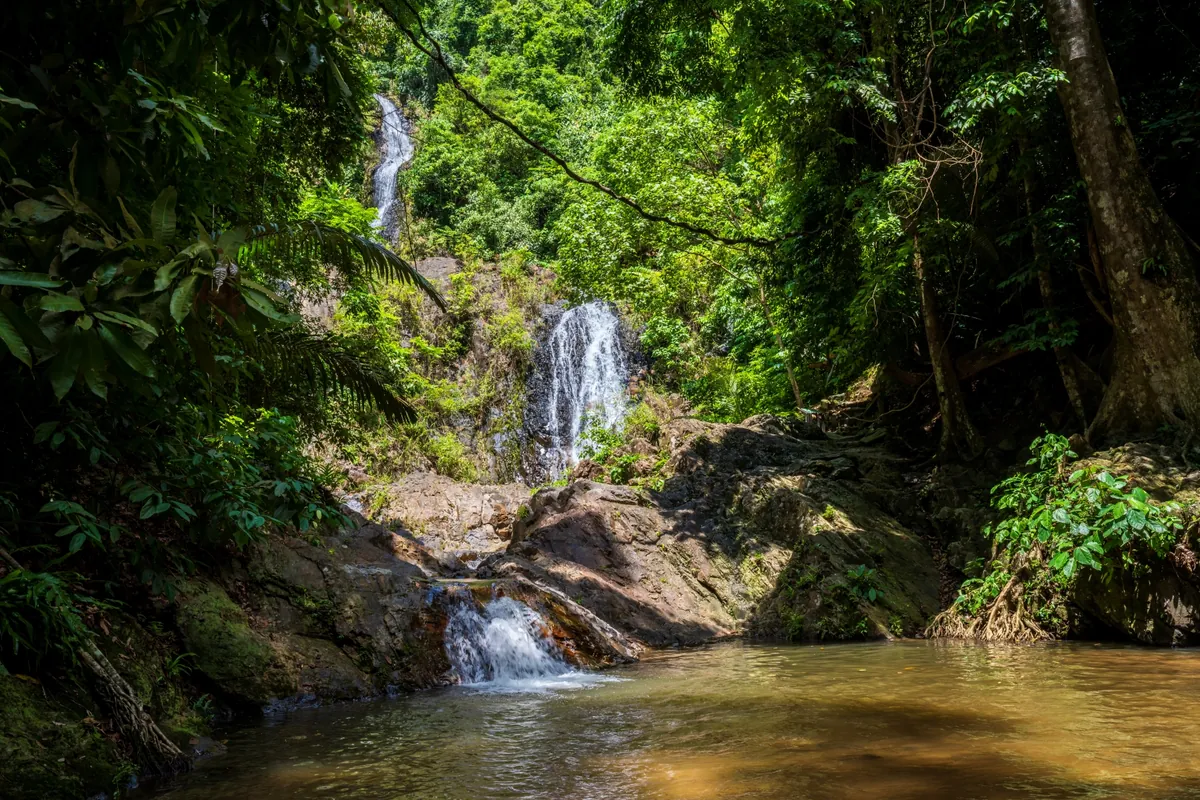 Khao Phanom Bencha National Park — photo 5